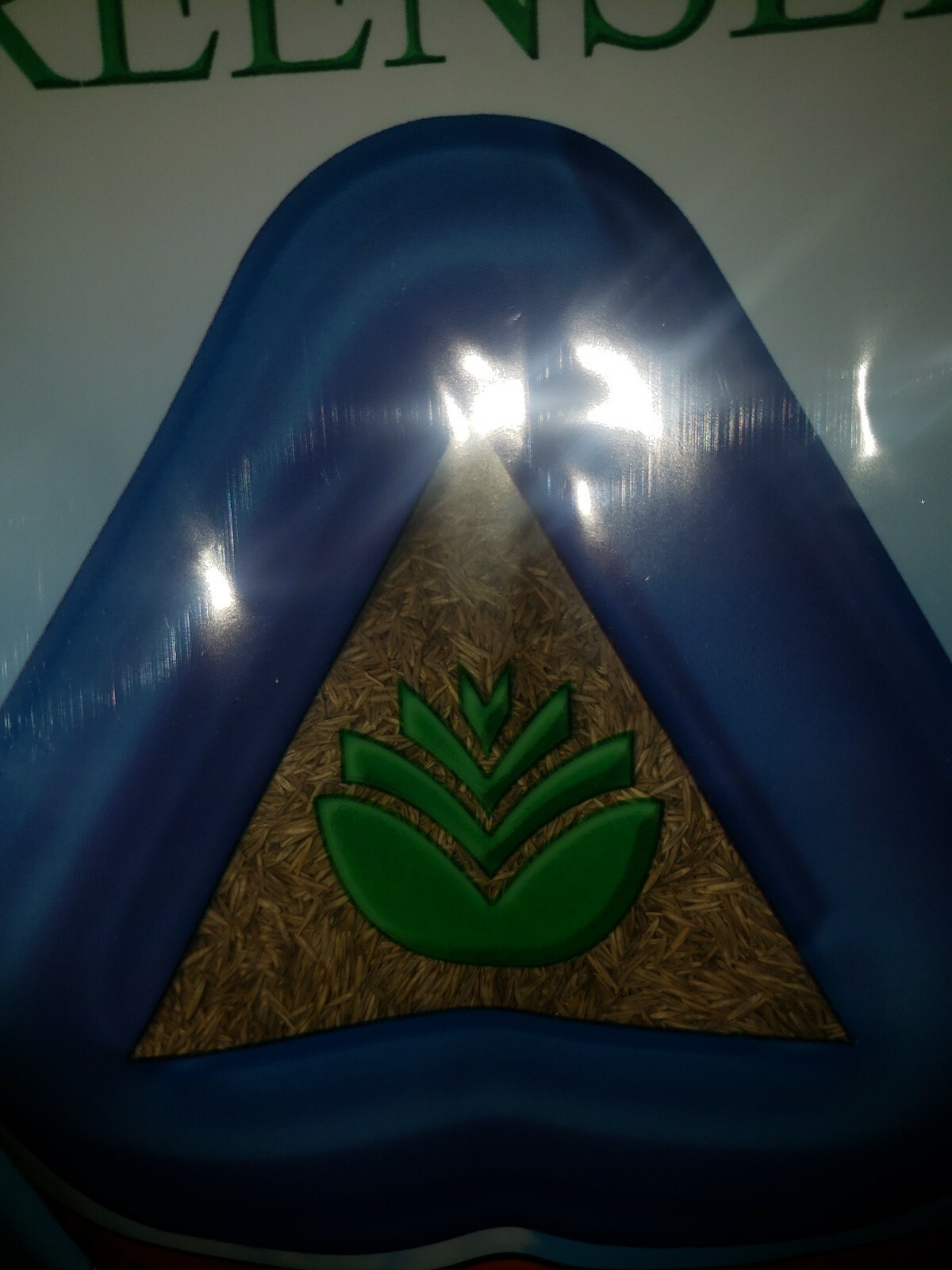 3lbs CREEPING RED FESCUE Grass Seed For Shady Lawns Fine Blade Beautiful Grass