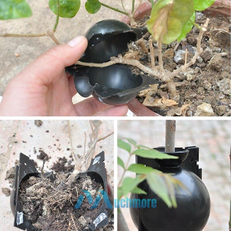 10x Black Propagation Tree Plant Rooting Ball Branch Root Grow Box Nursery Pot