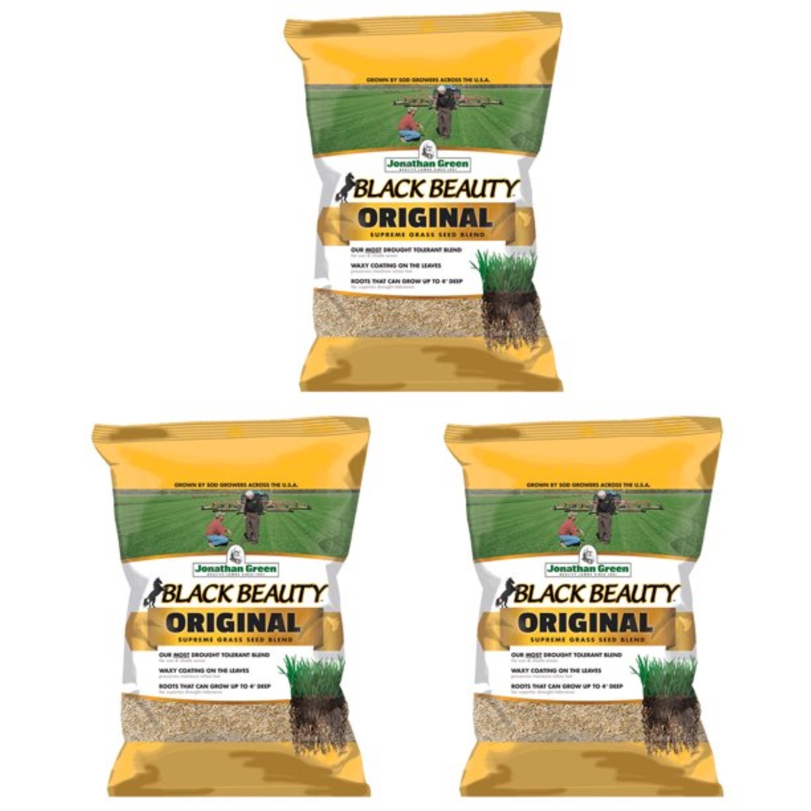 Jonathan Green (#10315) Black Beauty Original Grass Seed, 25 lb bag, 3 Pack