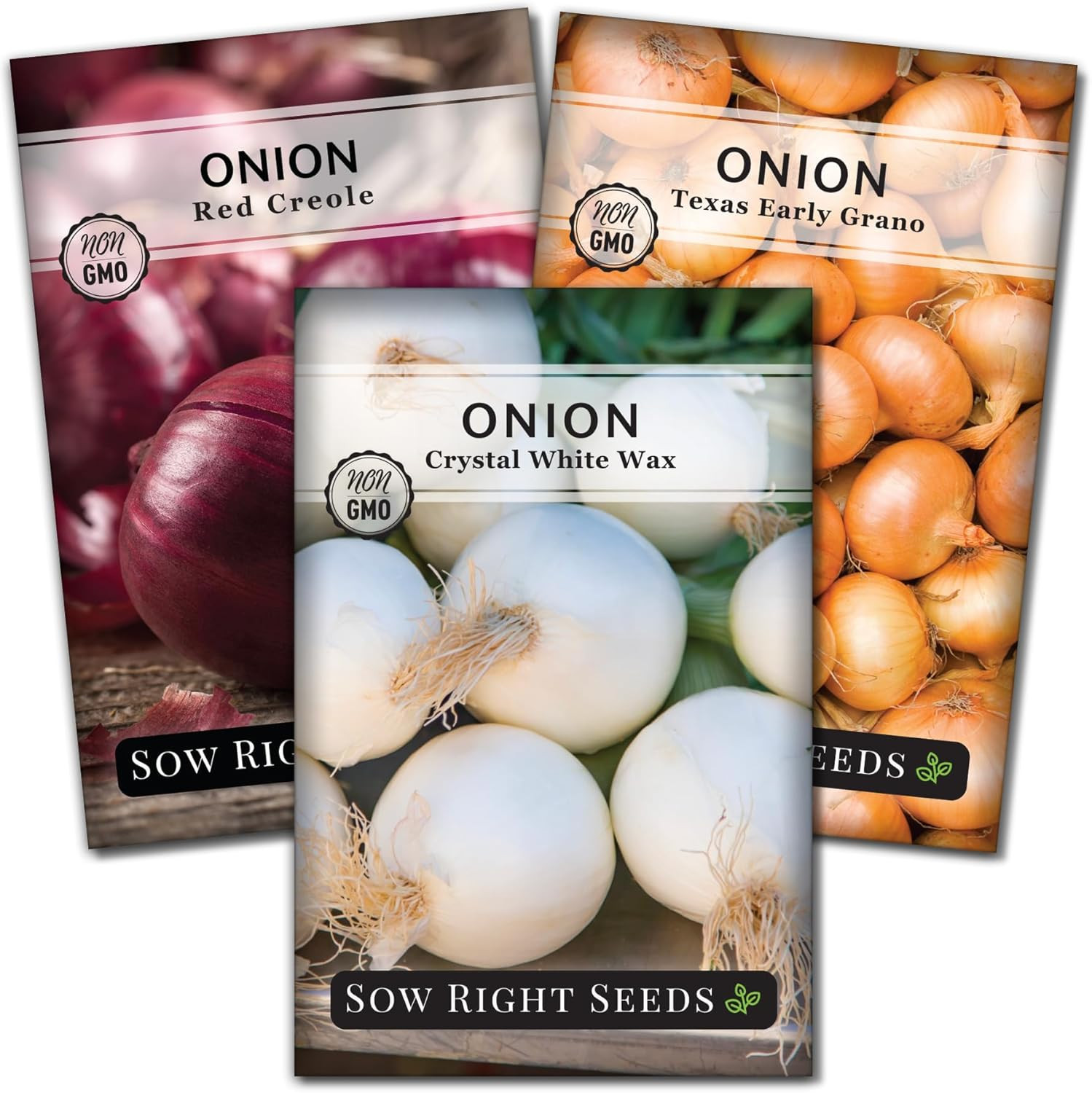 – Short Day Onion Seed Collection for Planting – Red Creole, Crystal White Wax,