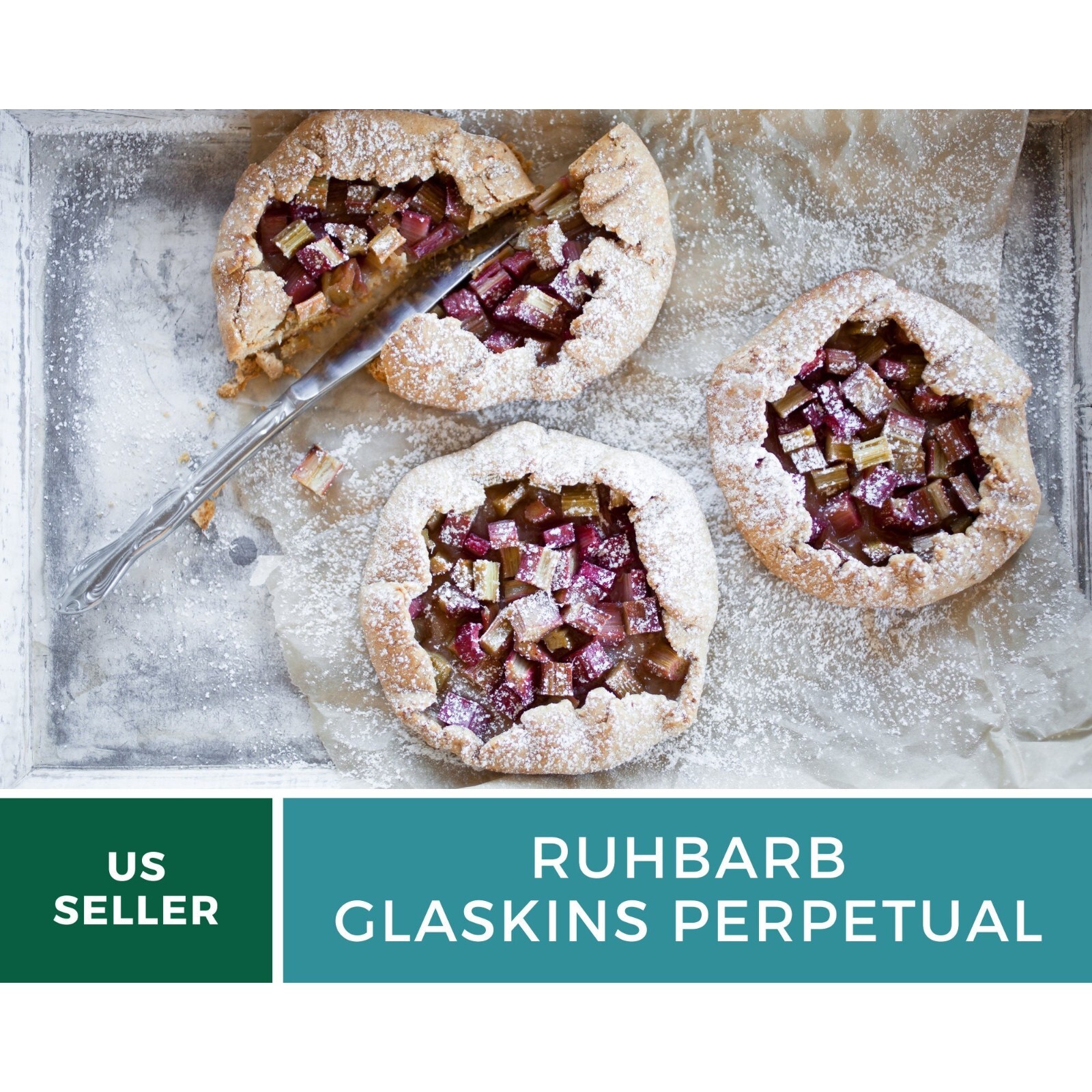 Rhubarb, Glaskins Perpetual – Heirloom Seeds – GMO Free (Rheum rhabarbarum)
