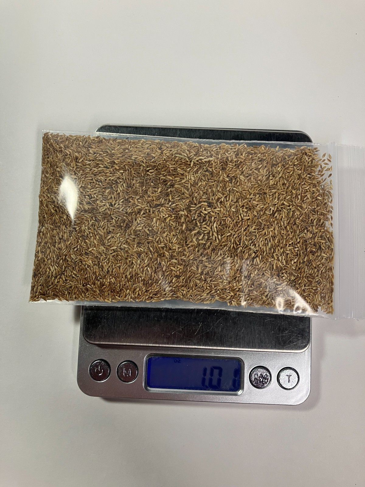 Zenith Zoysia 12,000+ Grass Seeds for a Healthy, Low-Maintenance Lawn ~ 1 ounce