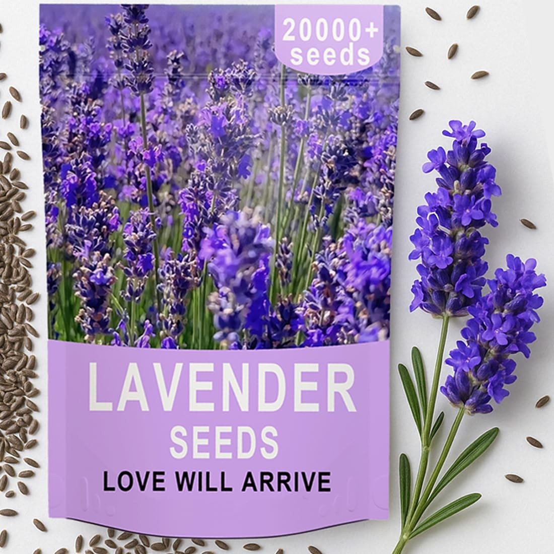 20,000+ Lavender Seeds for Planting Bulk – English Lavender Seeds Indoor & Ou…