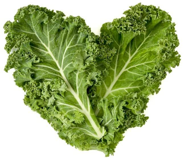 300+ Dwarf Blue Curled Kale Seeds | Non-GMO | Heirloom Garden Seeds