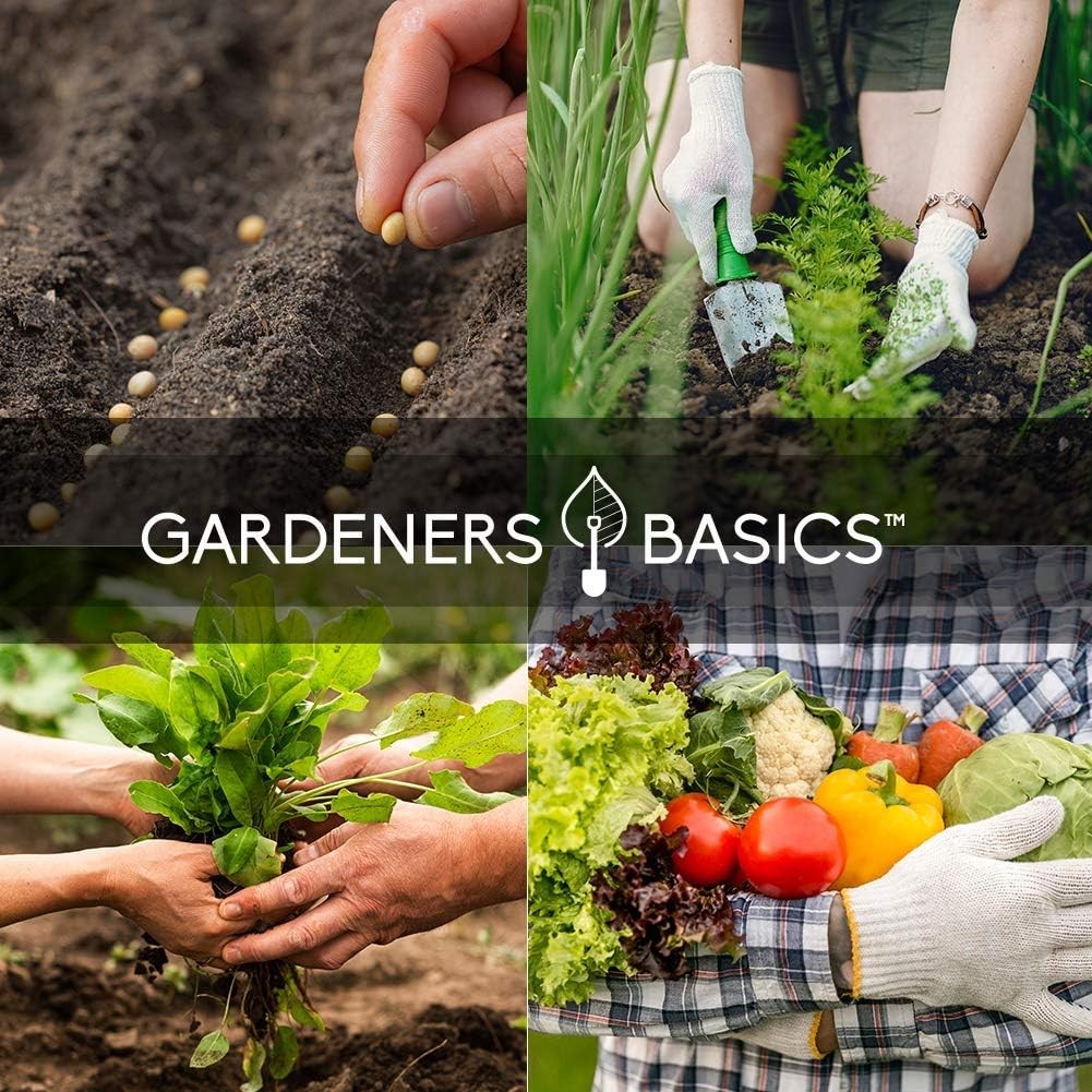 Heirloom Vegetable Seed Kit 35 Varieties 16000+ Non GMO Seeds Survival Garden