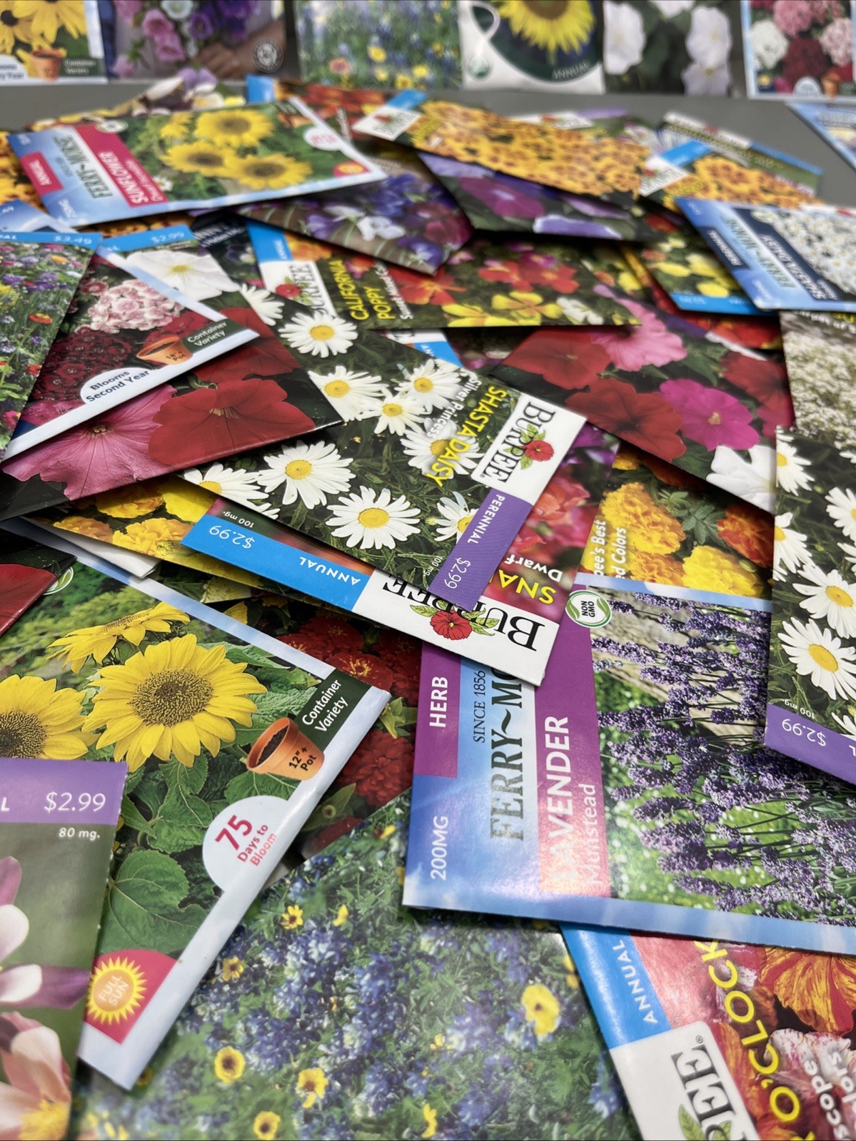 Flowers annual perennial Plant Seeds (Assorted Lot of 100) sell by 11/26 Garden