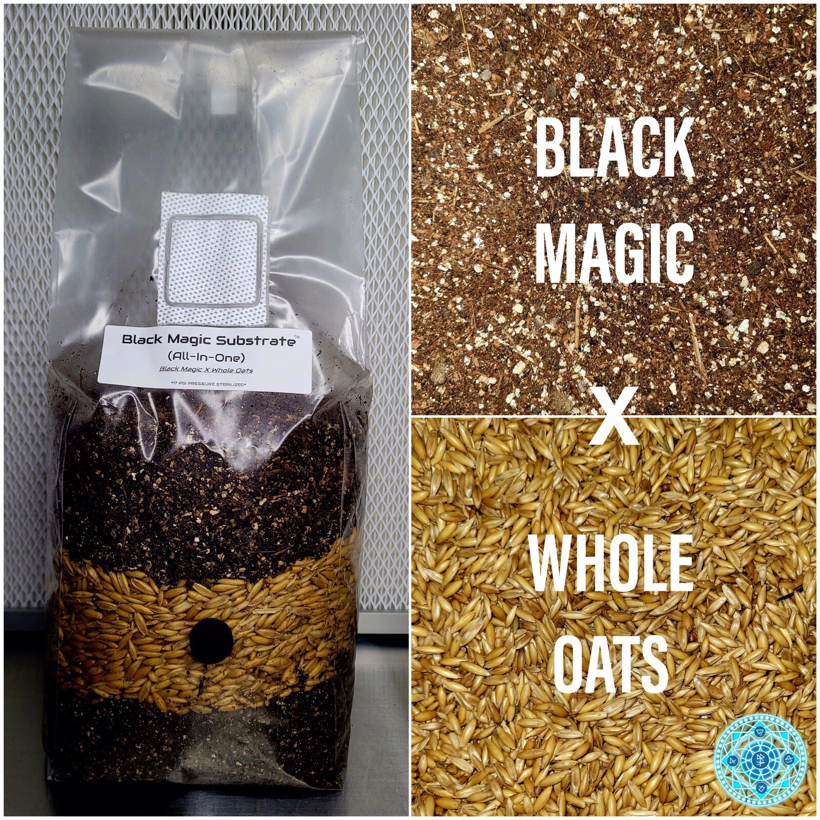 Premium Exotic Dung ALL-IN-ONE Mushroom Grow Kit 1 Pack Kit 3.5lb Bag (OATS) 🍄