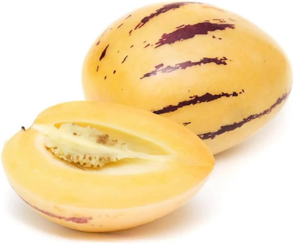 25 PCS Pepino Melon Seeds Solanum Muricatum Fruit Seeds Planting Garden Tool