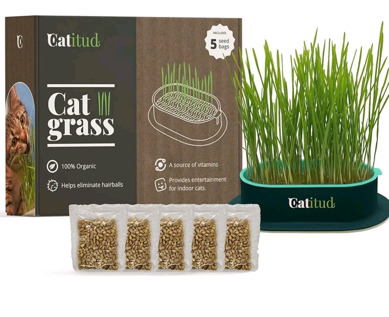 CATITUD cat Grass KIT Includes Pot with Non-Slip Base and 2 Packets of Seeds