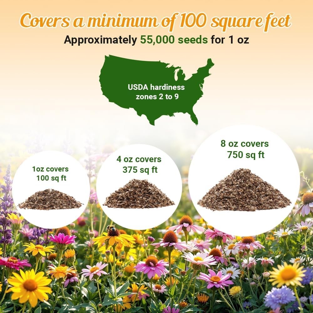 1oz Drought-Resistant Wildflower Seeds , Attract Pollinators, Open-Pollinated