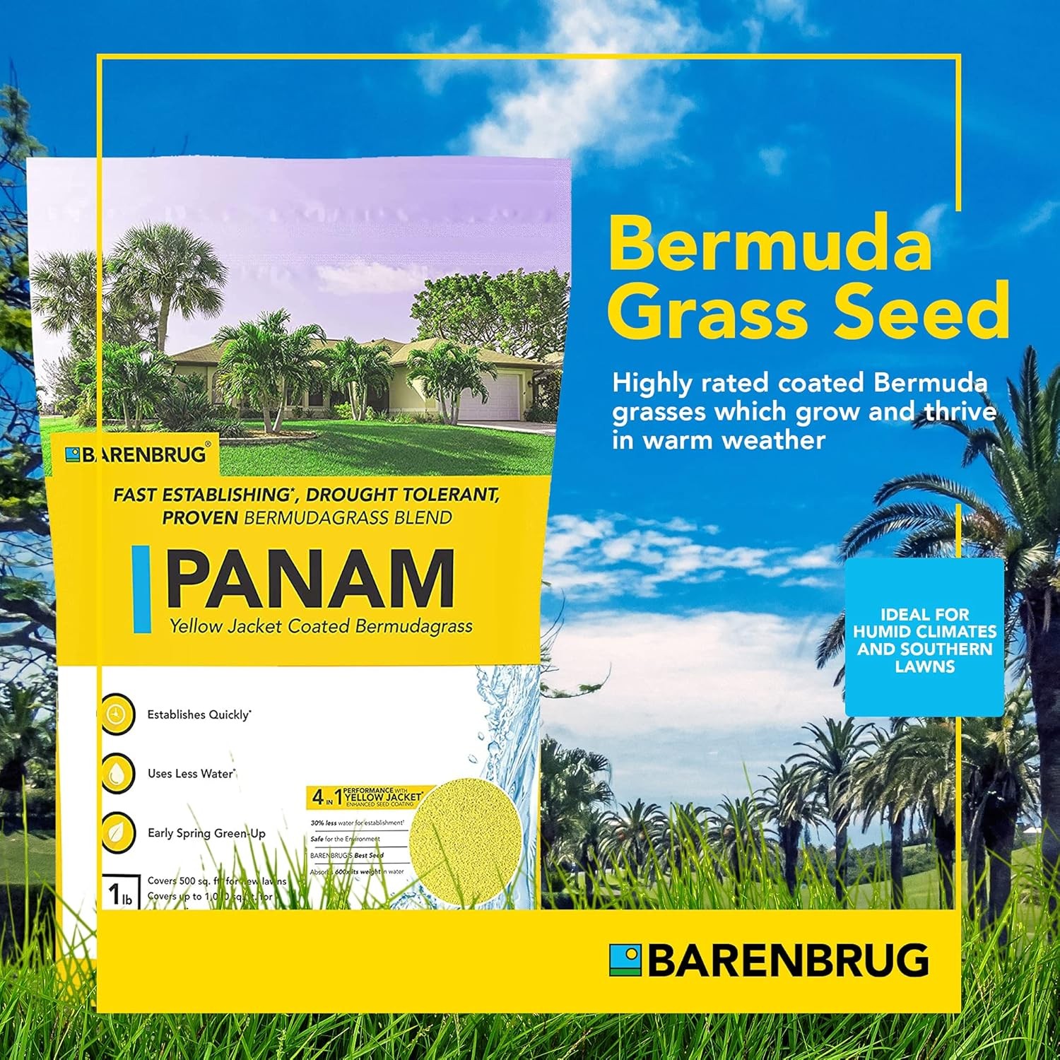 Panama (PanAm) Bermuda Grass Seed Blend ( 5 lbs ) Fine Textured Drought Tolerant