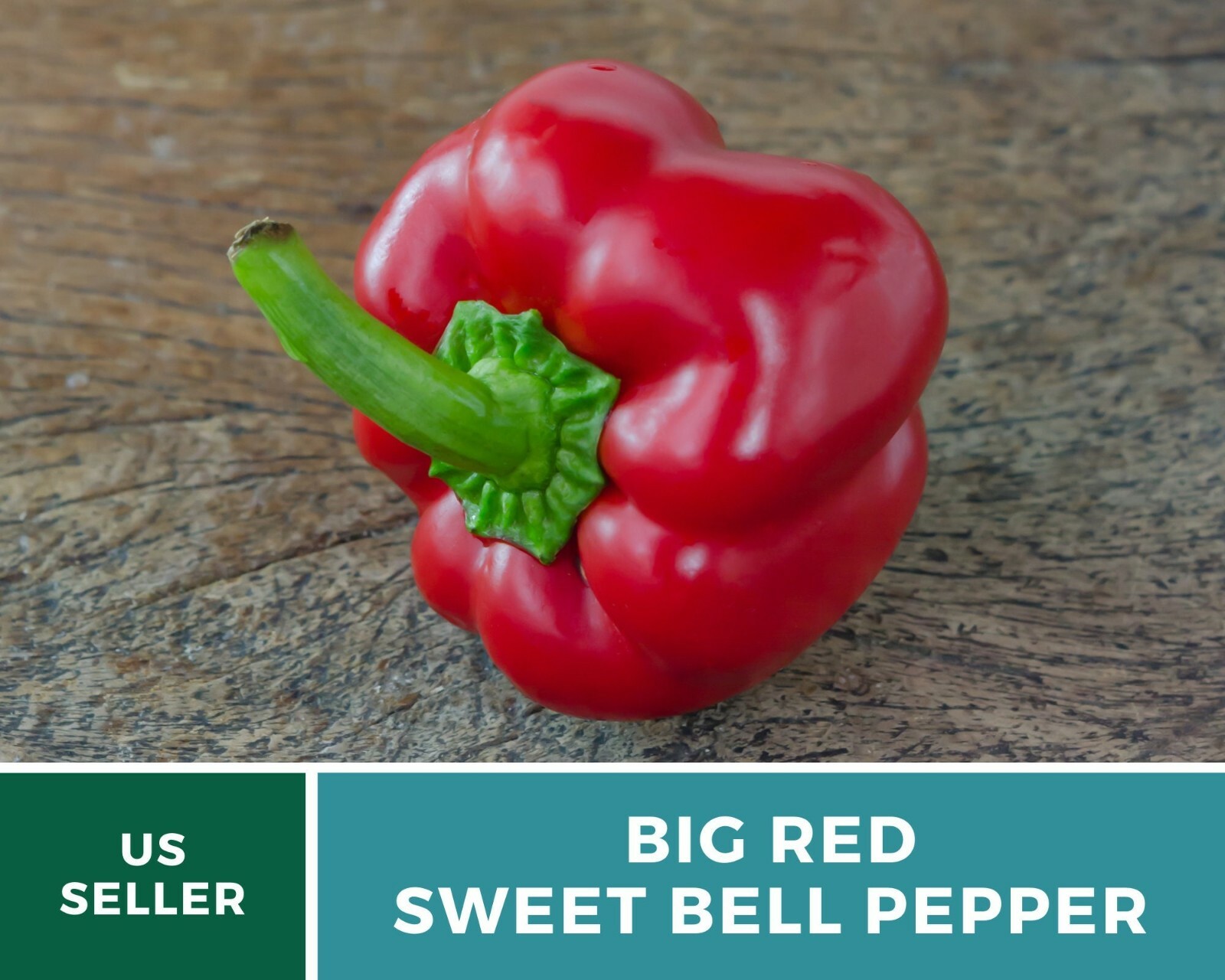 Pepper, Big Red Sweet Bell – 30 Seeds – Easy to Grow – Heirloom – GMO Free (Caps
