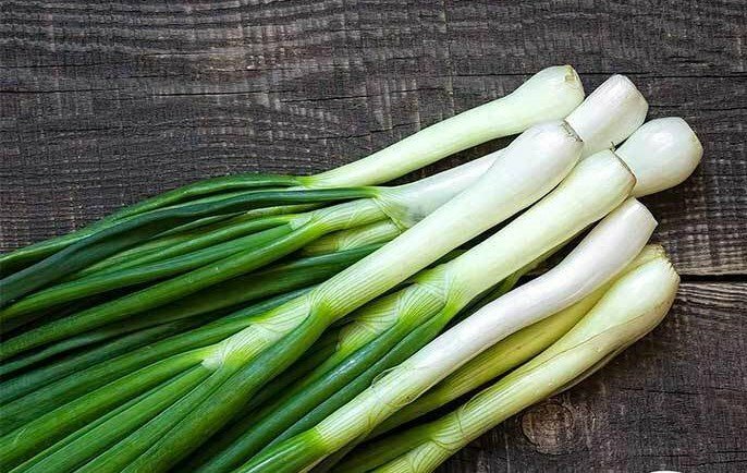 Green Onion Seeds – Bunching – Tokyo Long White – Heirlooms – 2.grams