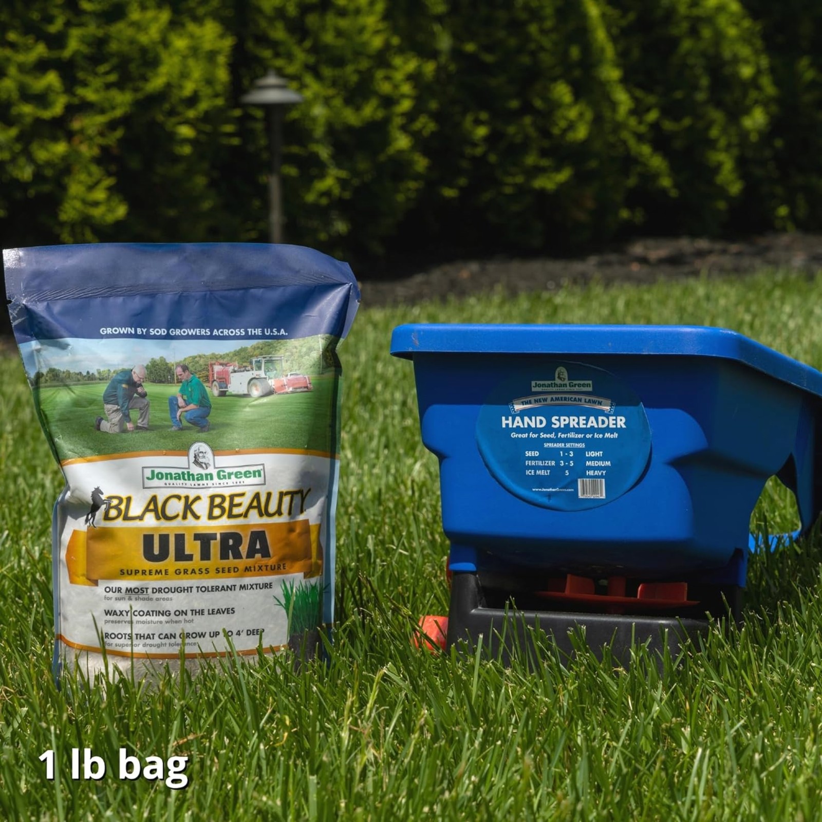 Jonathan Green (#10320) Black Beauty Ultra Grass Seed, 1lb bag, 2 pack