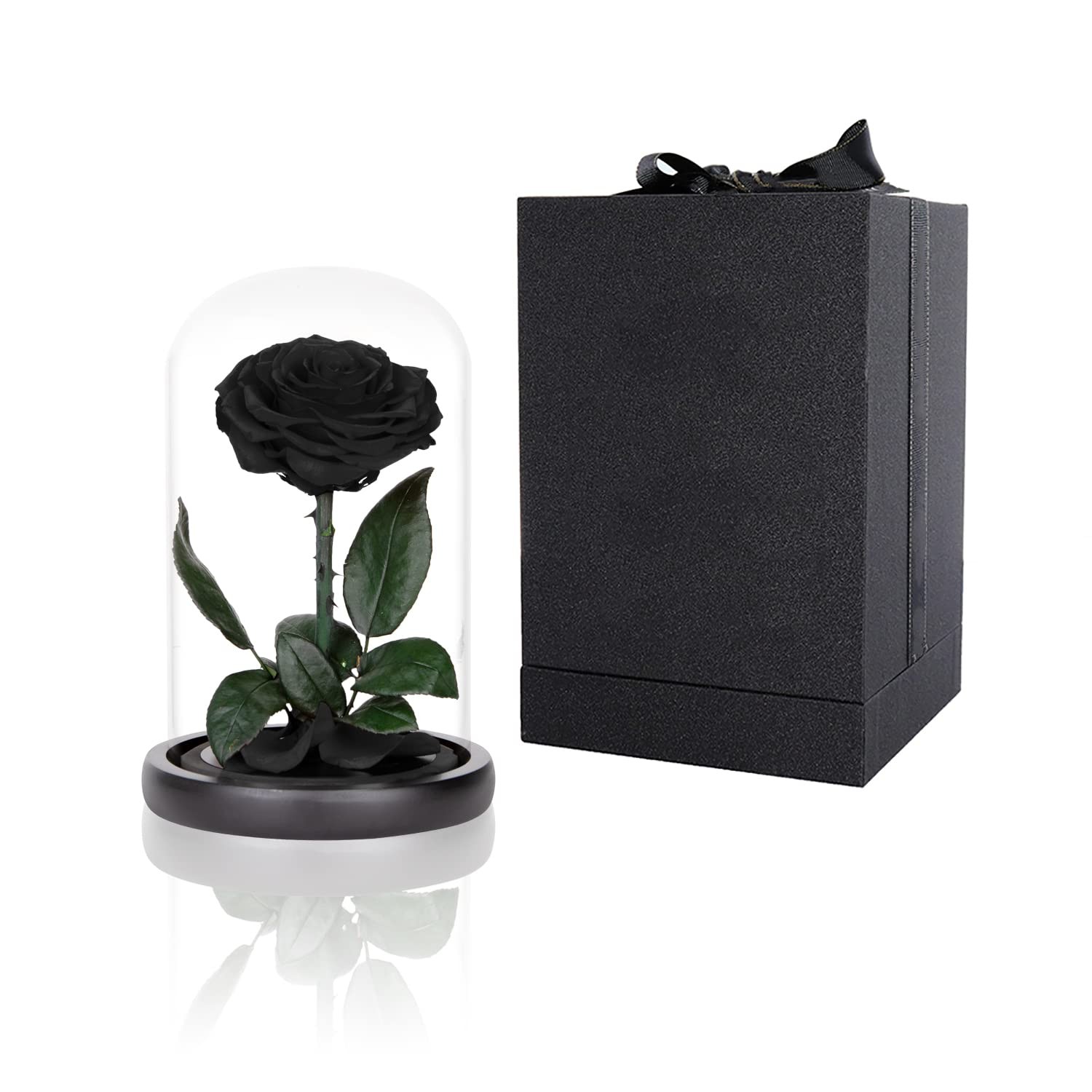 Preserved Roses Black in Glass Dome, Medium,
