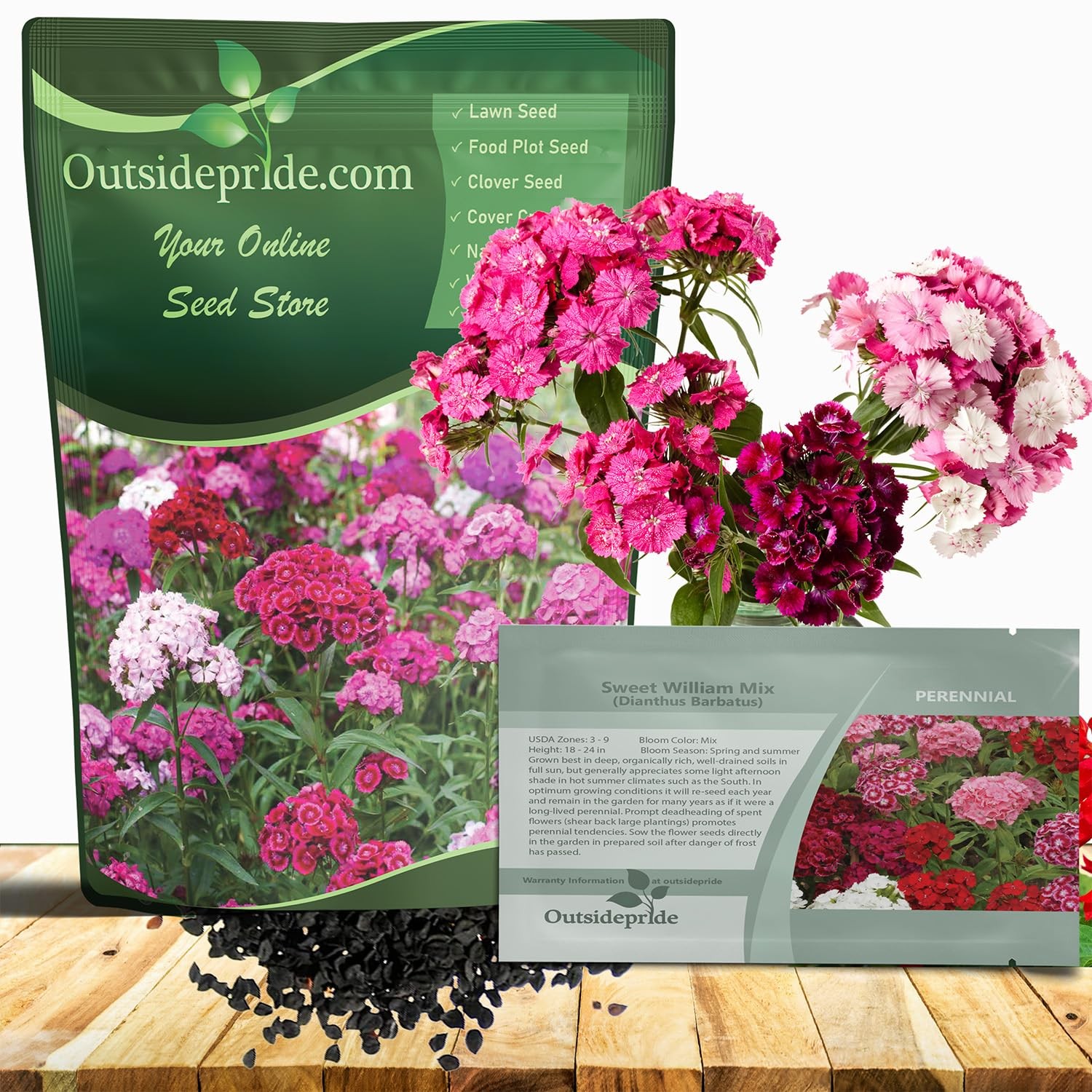 Sweet William Dianthus Seeds 1 Lb. Perennial Wildflower for Pollinator Gardens