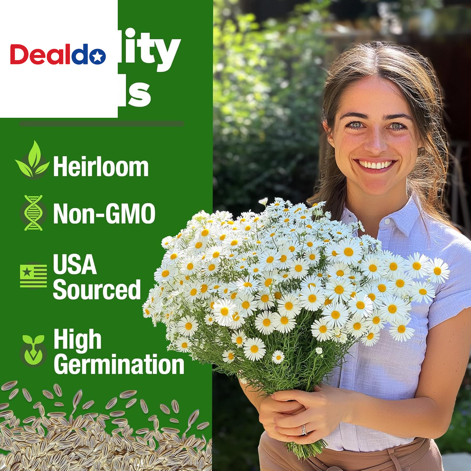 German Chamomile Seed Pack 2,280 Non GMO Heirloom Seeds for Planting for Sustain