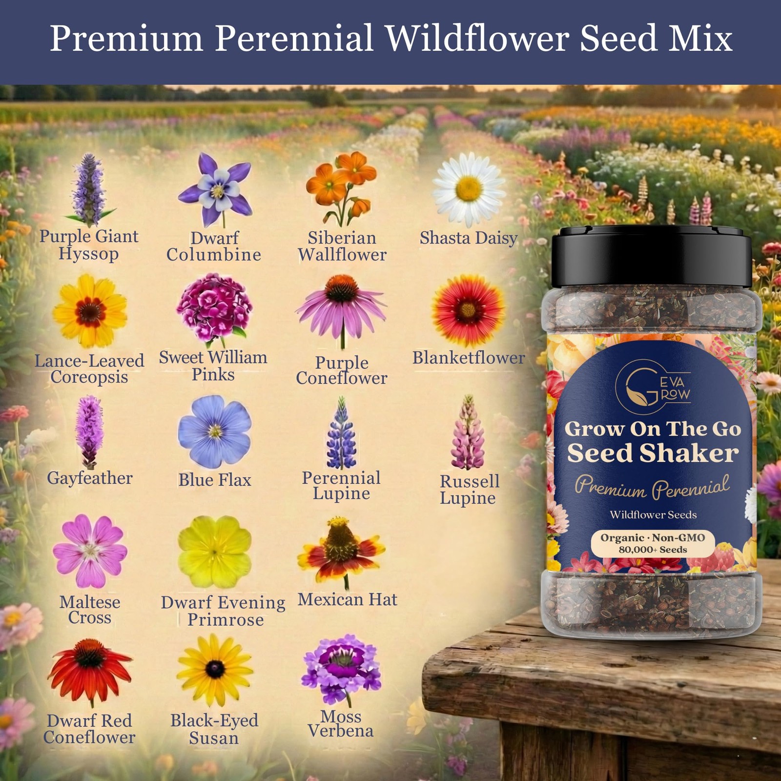 Perennial Wildflower Seed Mix 90,000+ Seeds for Easy Planting Anywhere