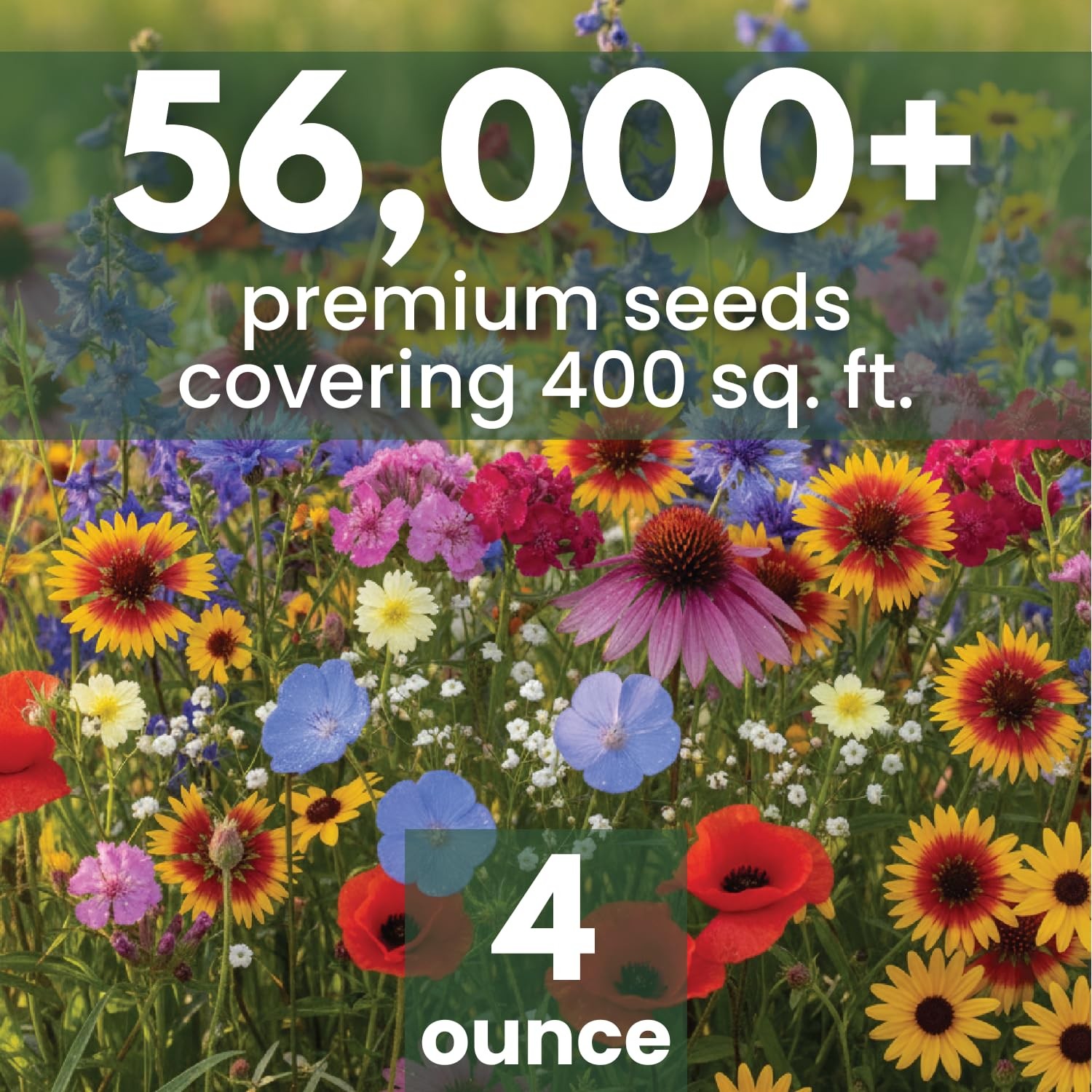 Family Sown Midwest Regional Mix 56000 Seeds For Planting 2026 Season 4 Ounce