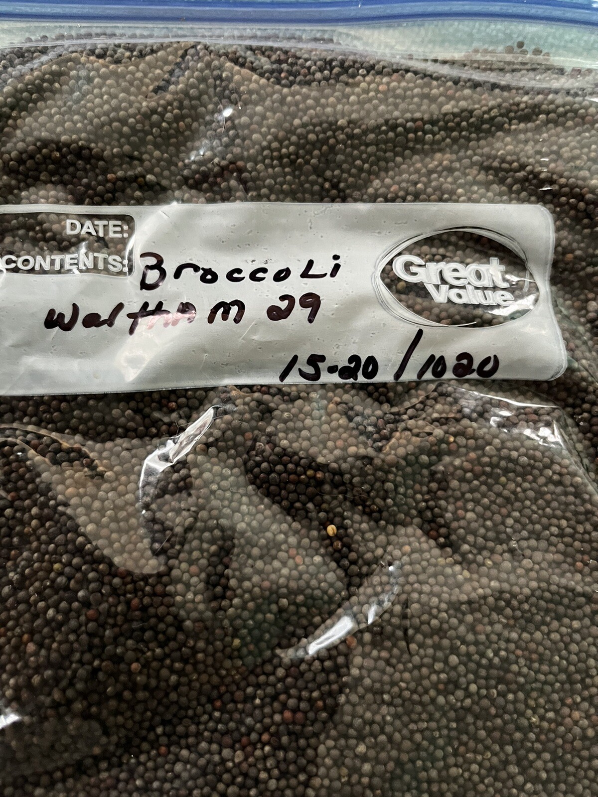 Organic Broccoli MICROGREEN Seeds