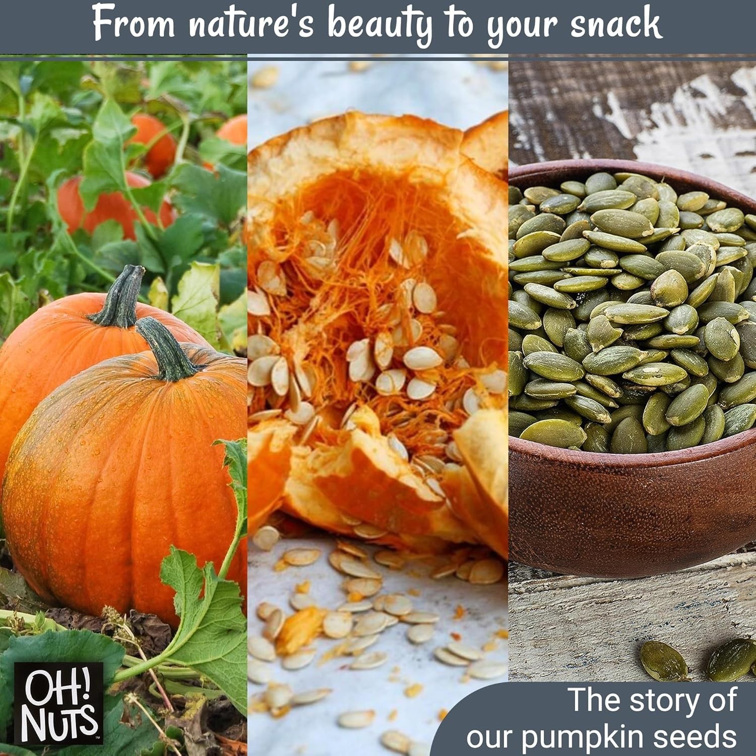 Deliciously Nutty 1.25 lb Roasted Pumpkin Seeds – Ideal Snack for All Diets