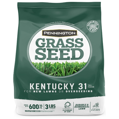 Kentucky 31 Tall Fescue Penkoted Grass Seed Durable Economical Lawn 3 LB NEW