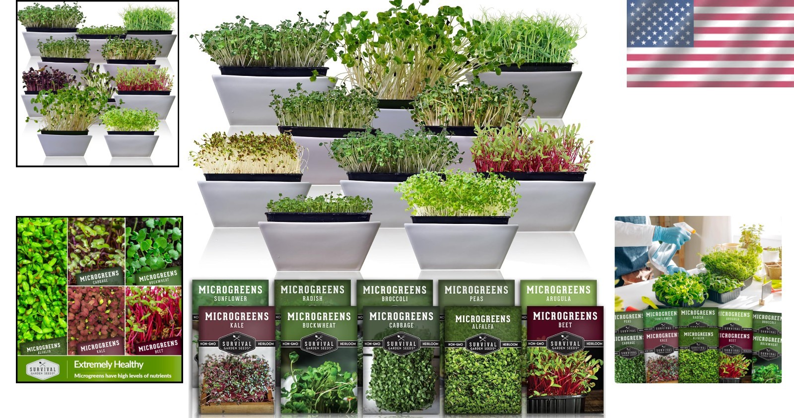 Microgreen Seeds Variety Pack 10 Heirloom Types Non-GMO for Indoor Gardening