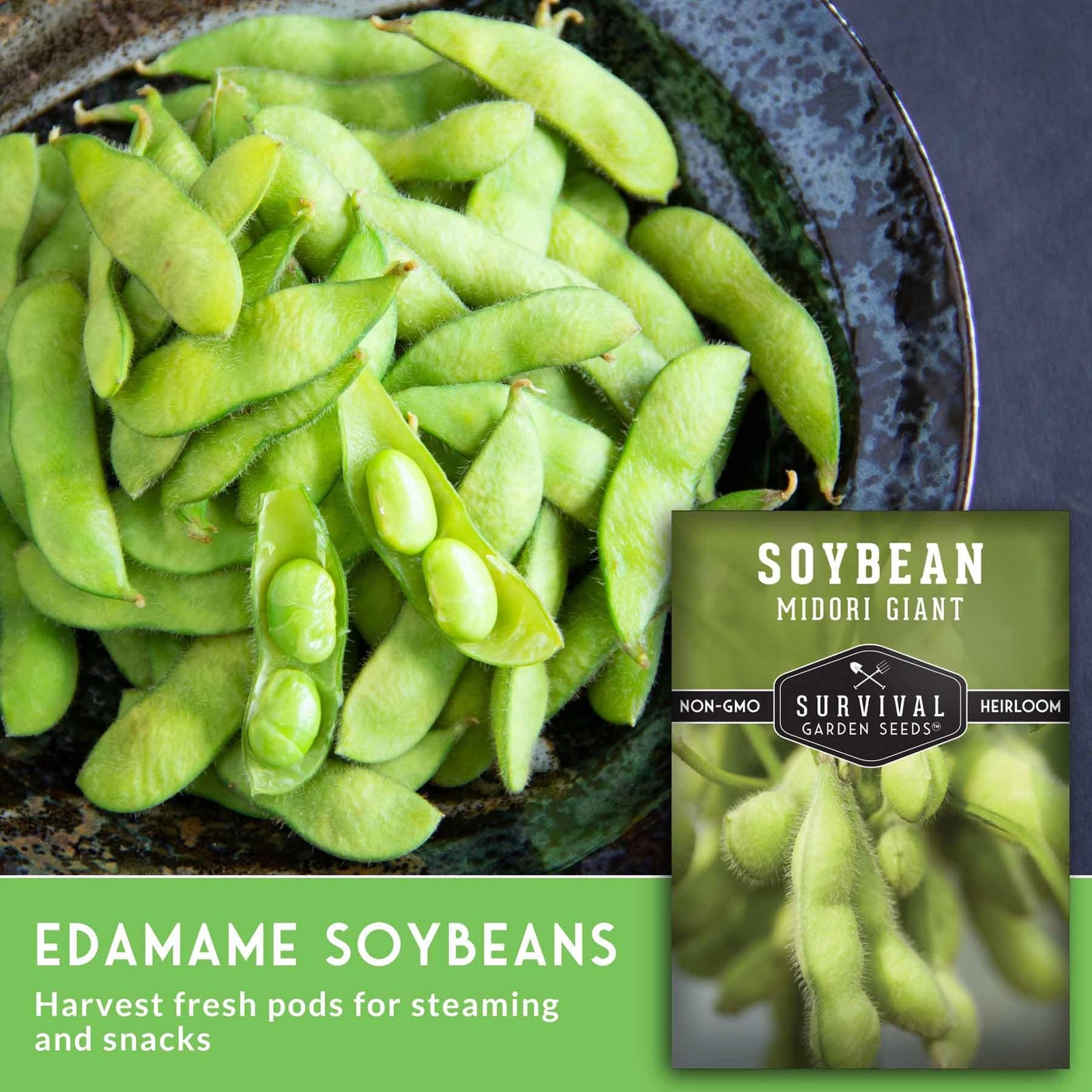 Midori Giant Soybean Seeds for Planting – Grow Protein-Rich Edamame Green