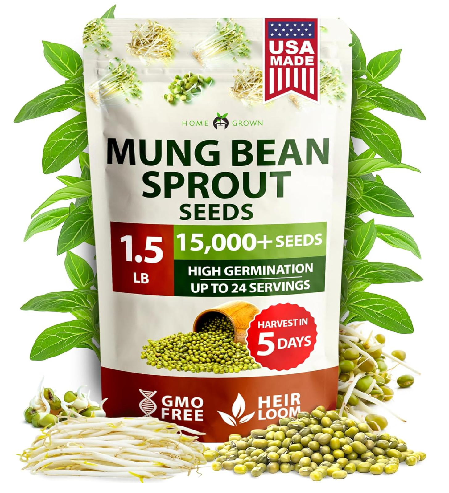 HOME GROWN Mung Beans Seeds Pack 1.5 lb Over 15,000 Sprouting Seeds Grow Fresh M