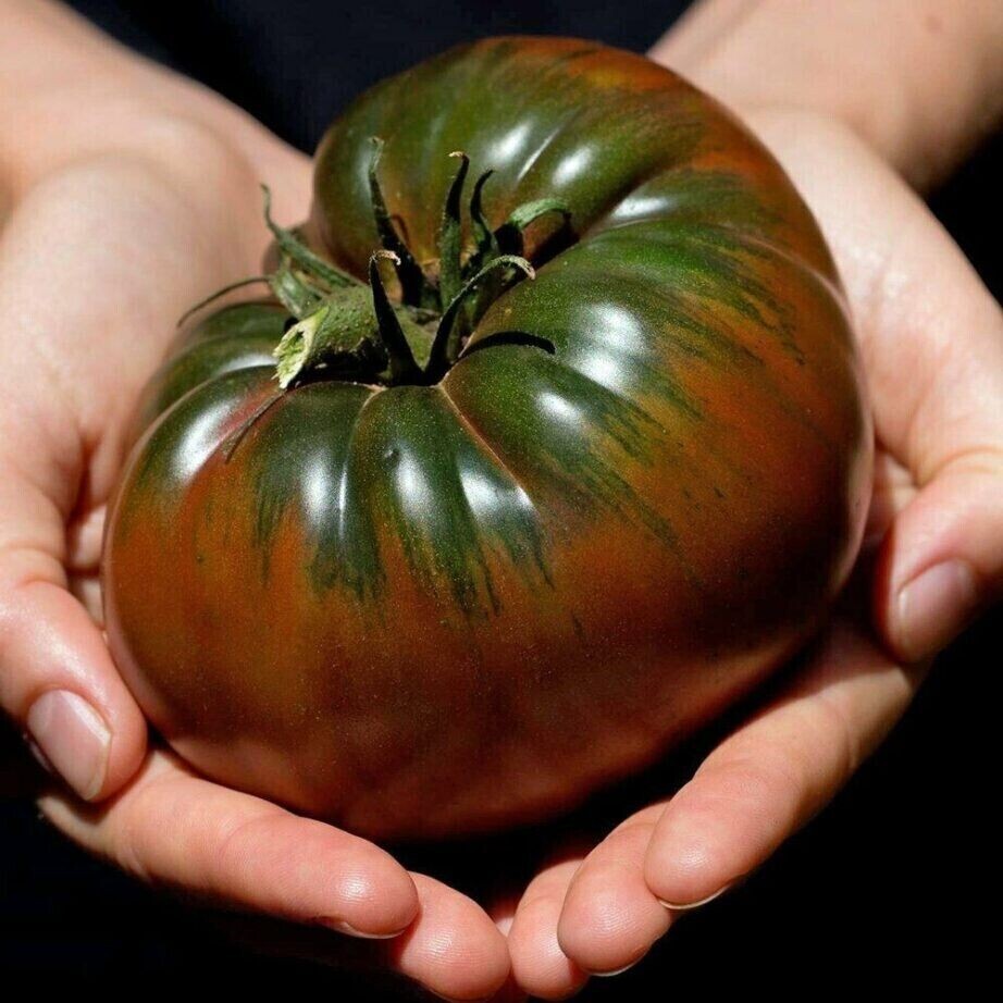 120+ Russian Black Krim Tomato Seeds – NON GMO – ORGANIC – HEIRLOOM — FRESH