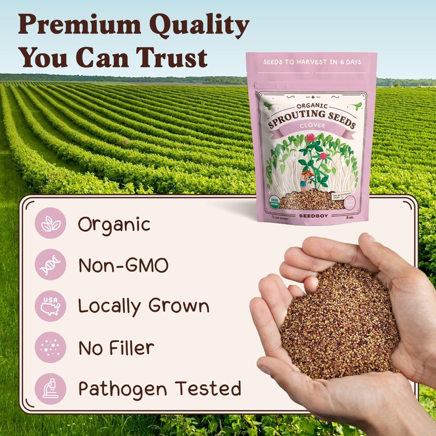 Organic NonGMO Clover Seeds for Sprouting 8 oz Bag, 32 Servings
