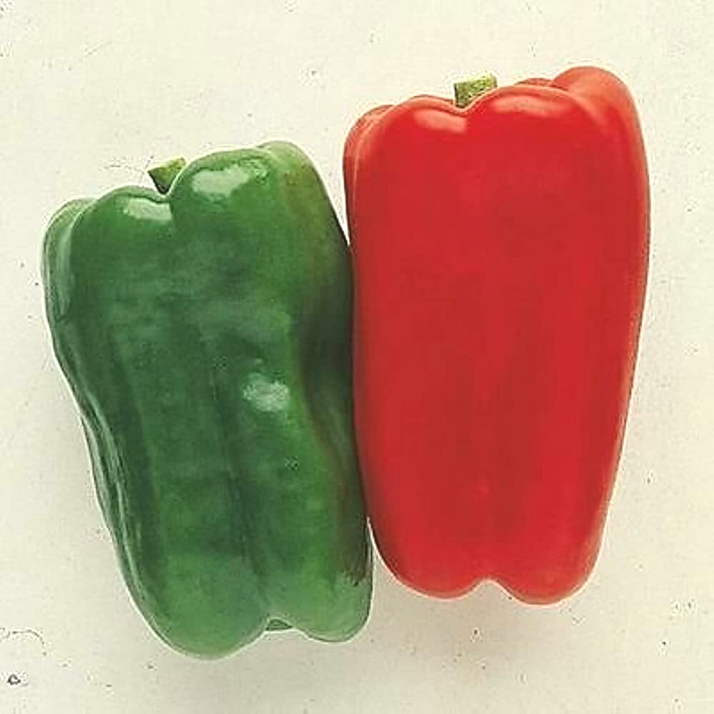 PEPPER SWEET BIG BERTHA ‘Capsicum Annuum’ 50+ SEEDS