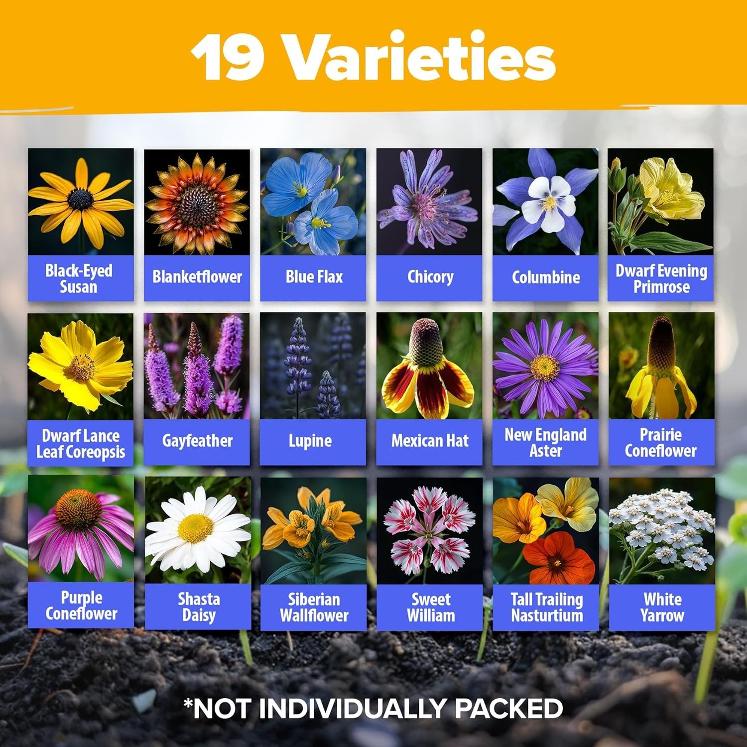 63,200+ Wildflower Seeds for Spring to Fall Blooming, Full Sun Exposure
