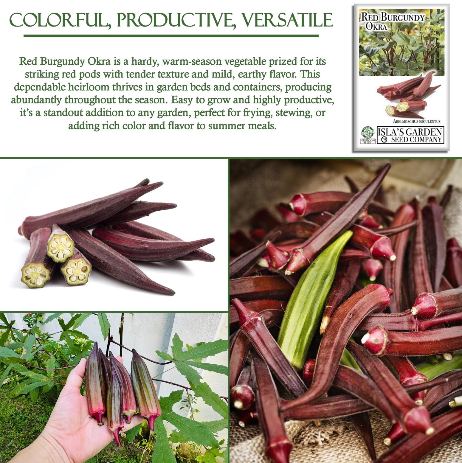 Red Burgundy Okra Seeds for Planting – 100+ Non-GMO & Heirloom