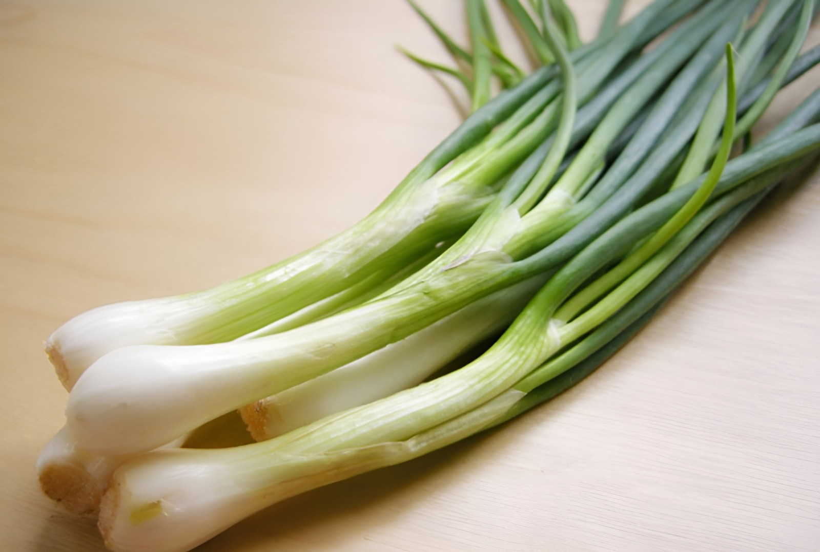 1,000 Heirloom Evergreen White Nebuka Bunching Onion Scallion Seeds Organic
