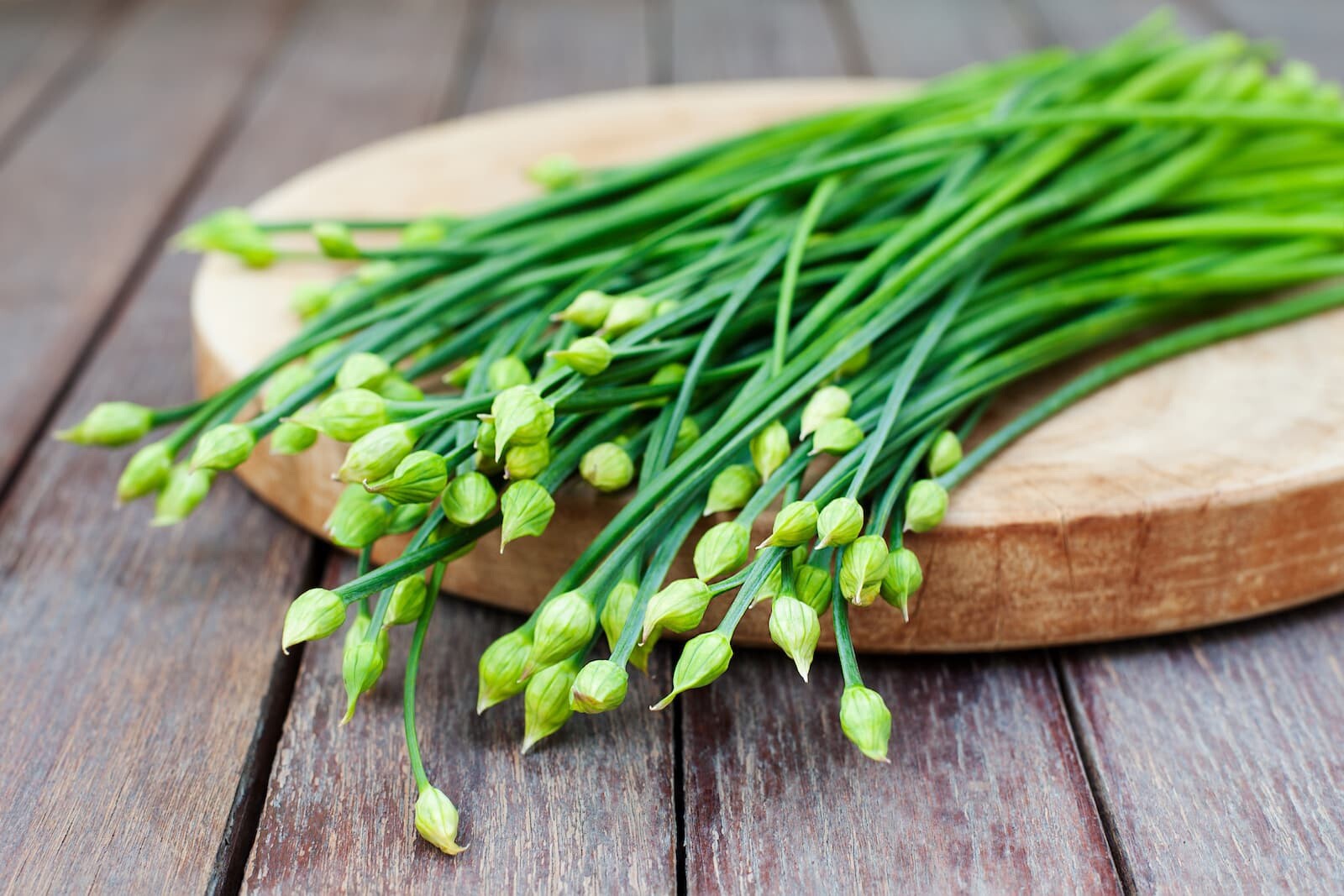 Garlic Chive Seeds | Organic | NON-GMO | Heirloom | Best Seller
