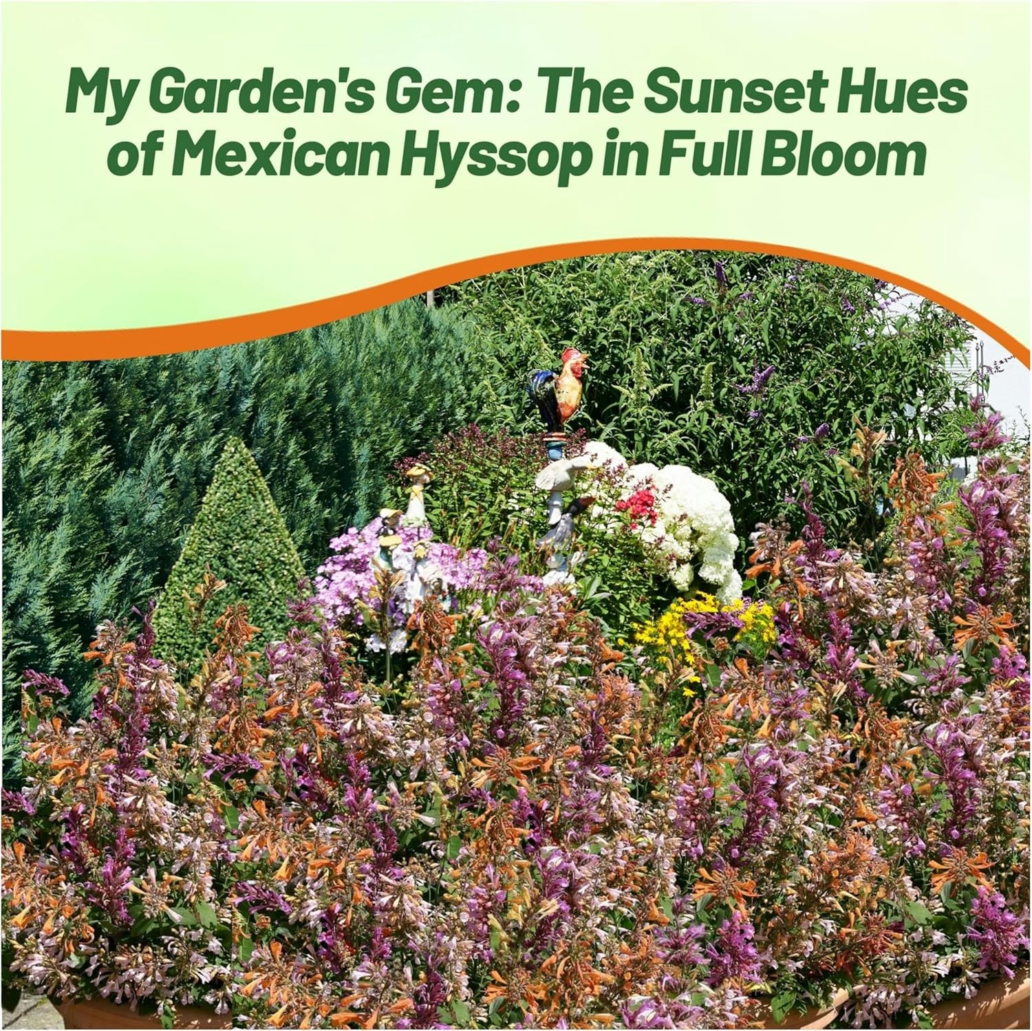 200 Seeds Agastache Aurantiaca Fragrant Delight Mexican Hyssop Flower Seed Mix