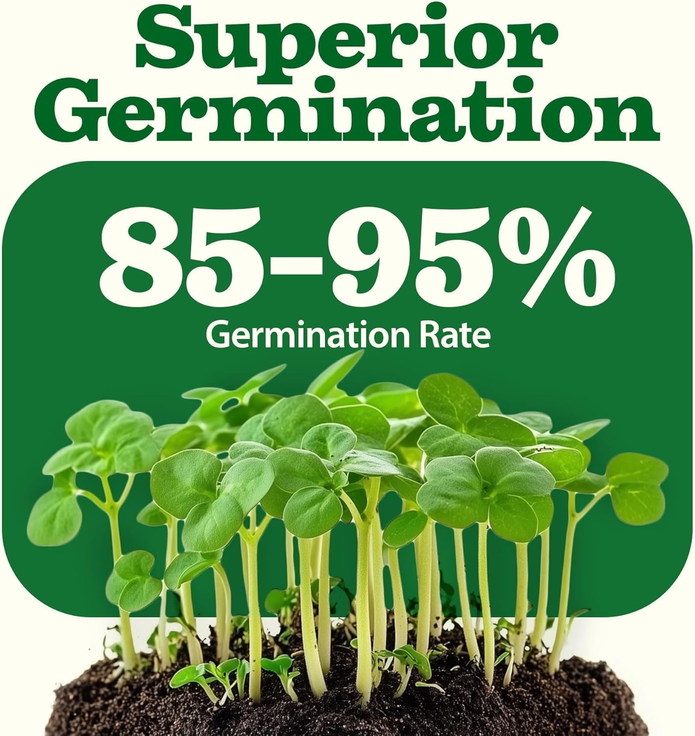 Complete 32-Pack Heirloom Seeds: 16,000+ Quality Seeds for -Round Harvesting