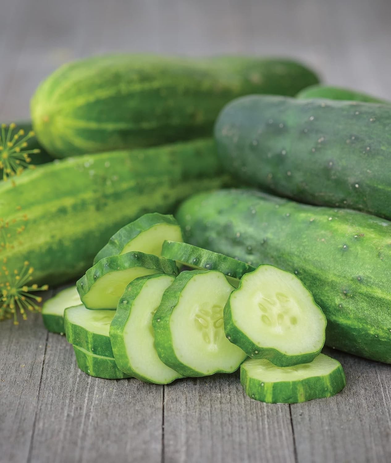 Straight Eight Heirloom Cucumber Seeds – 200 Non-GMO, Organic & Easy to Grow