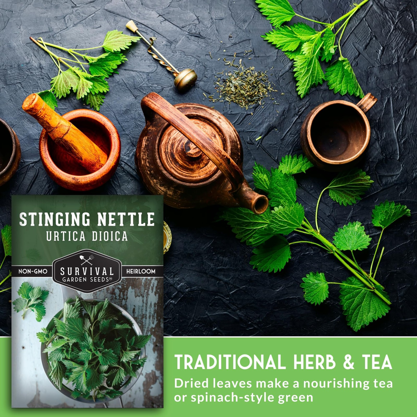 Stinging Nettle Seeds for Planting – Urtica Dioica Medicinal Herb & green