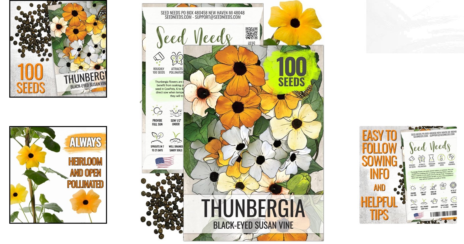 Thunbergia Alata Black-Eyed Susan Vine Seeds – Annual Blooms & Garden Privacy