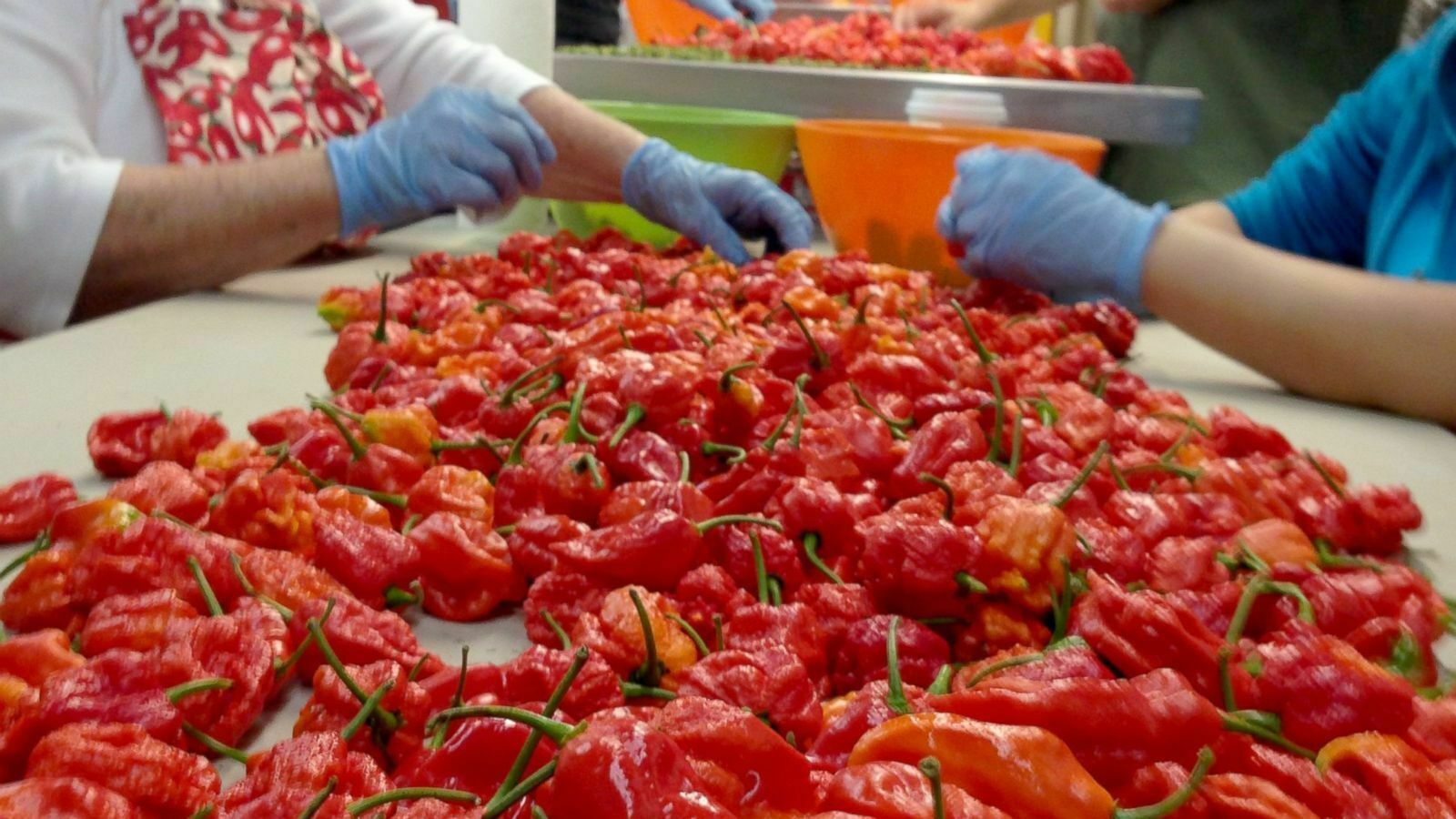 1000 Carolina Reaper Chili Pepper Seeds World Record Hot Peppers Vegetables