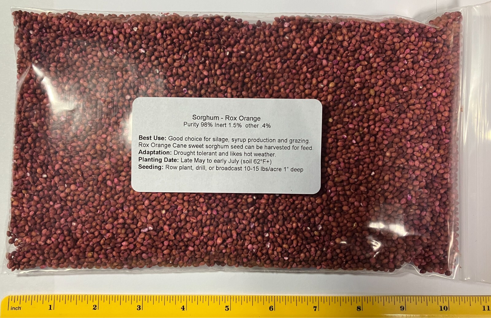 1 pound Sorghum Seeds Rox Orange Syrup Cane Non-GMO Heirloom.