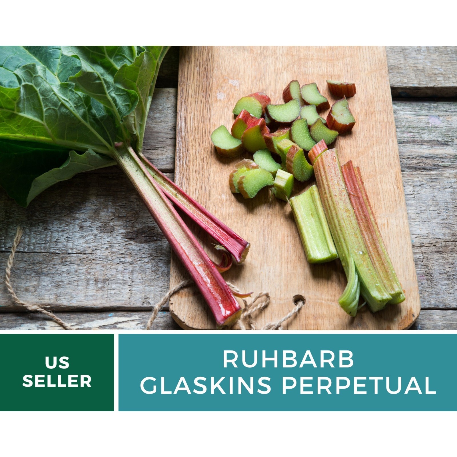 Rhubarb, Glaskins Perpetual – Heirloom Seeds – GMO Free (Rheum rhabarbarum)