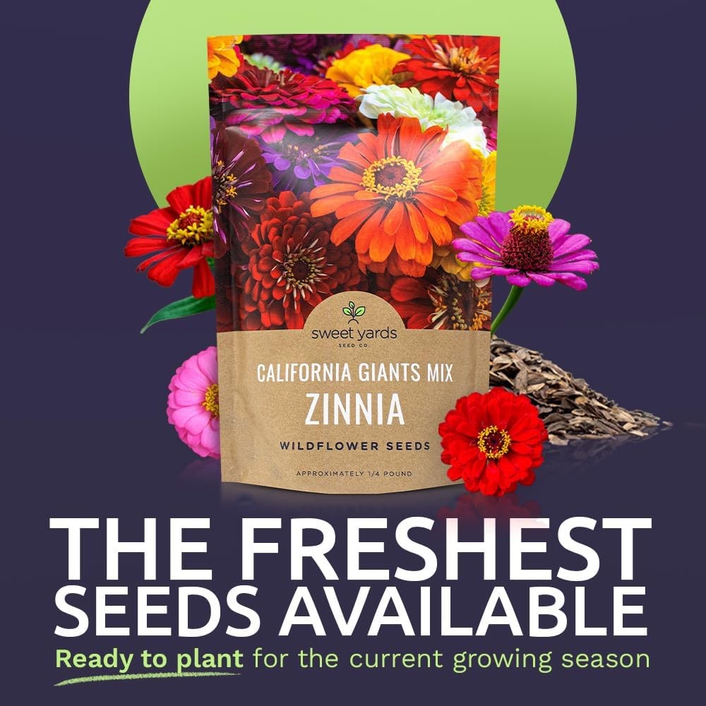 Bulk Zinnia Seeds – California Giants Mix – 1/4 Pound Bag Over 12000 Flower