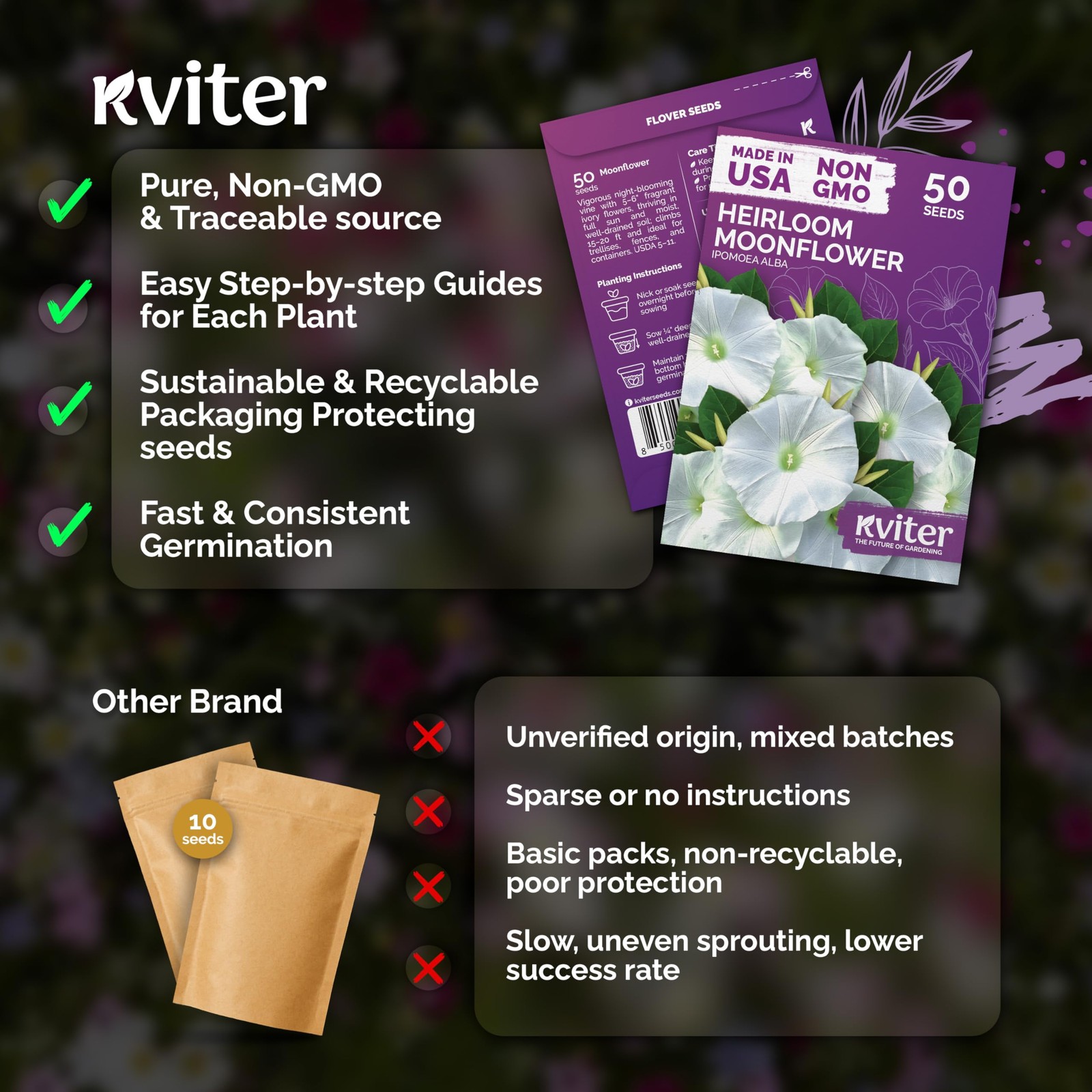 KVITER 50 Moonflower Seeds For Planting (Ipomoea alba)