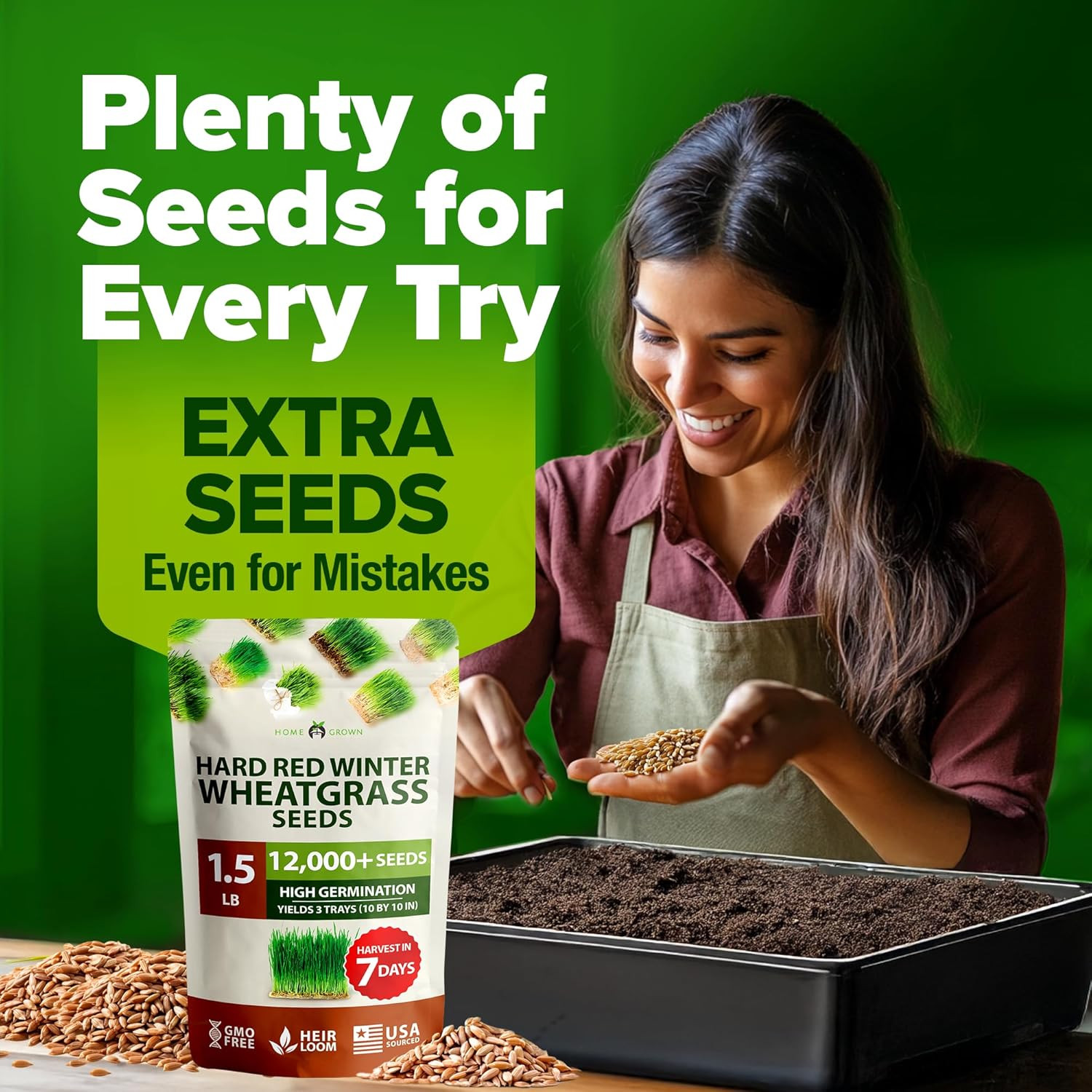 Hard Red Winter Wheatgrass Seeds 12,000+ Bulk 1.5 Lb Heirloom Non-Gmo, Sprouting