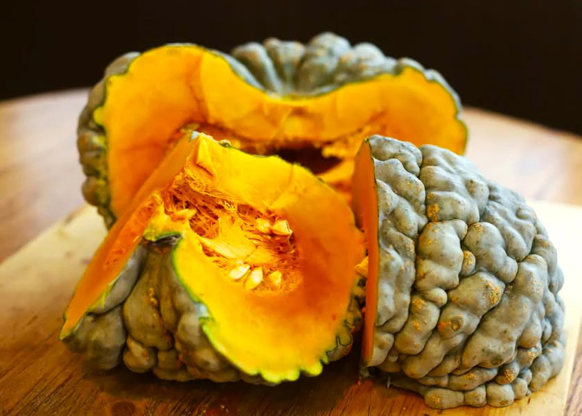 Marina Di Chioggia Squash Seeds – For 2025 Planting Italian Green Zucca Barucca