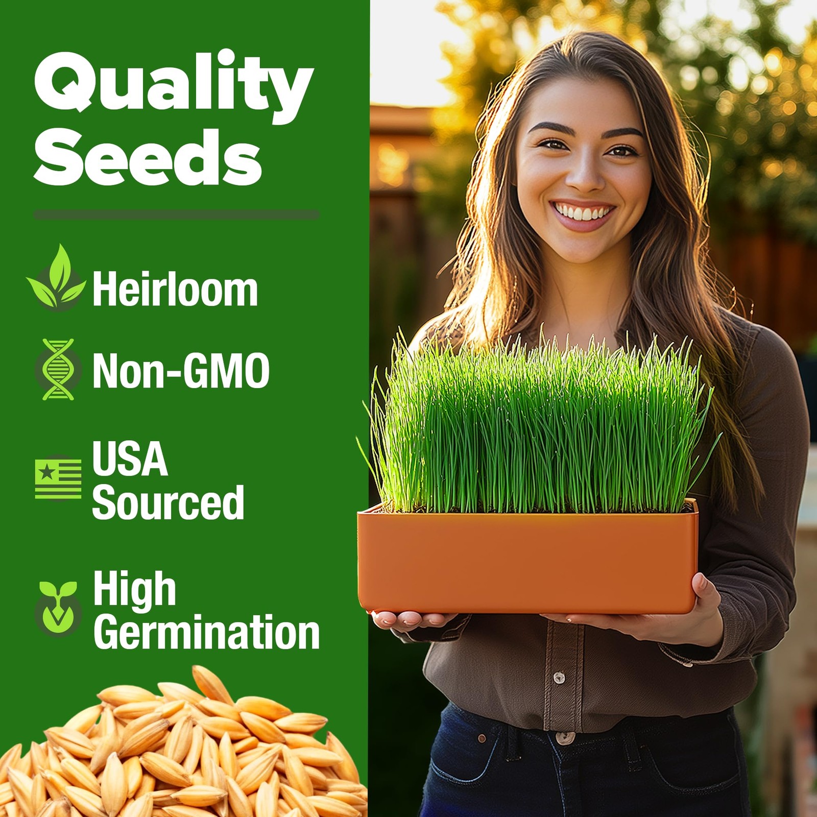 HOME GROWN Hard Red Winter Wheatgrass Seeds 12,000+ Bulk 1.5 lb Heirloom NonG…