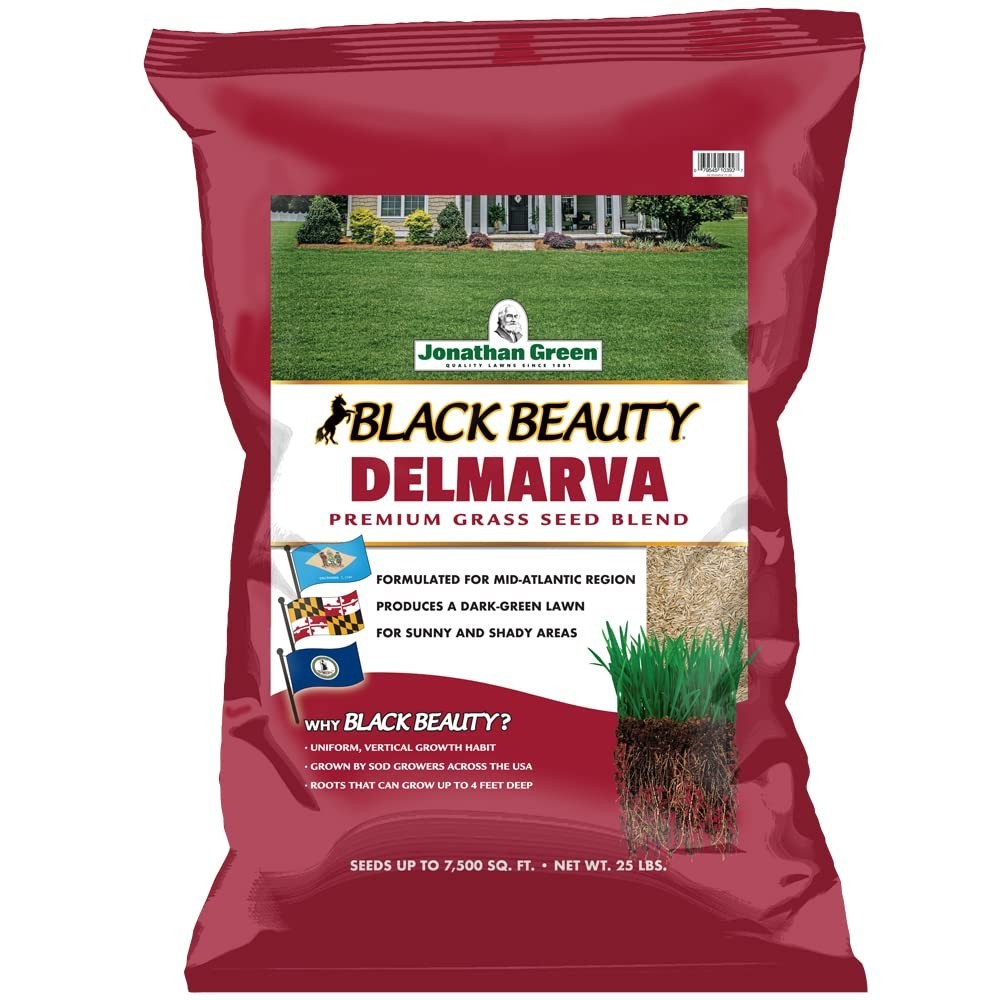 Premium Black Beauty Grass Seed for Maryland, Delaware, Virginia – 25 lb Cool Se